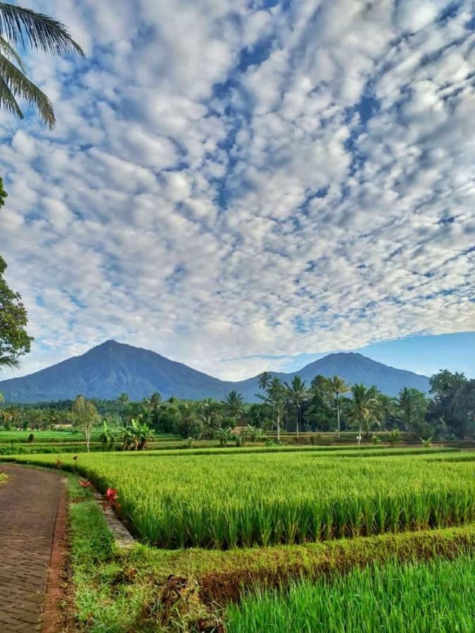 Ijen Mansjestic B&B Tamansuruh Exterior photo